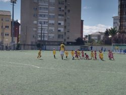 jornada-14-15-de-mayo-y-torneo-biberon-16