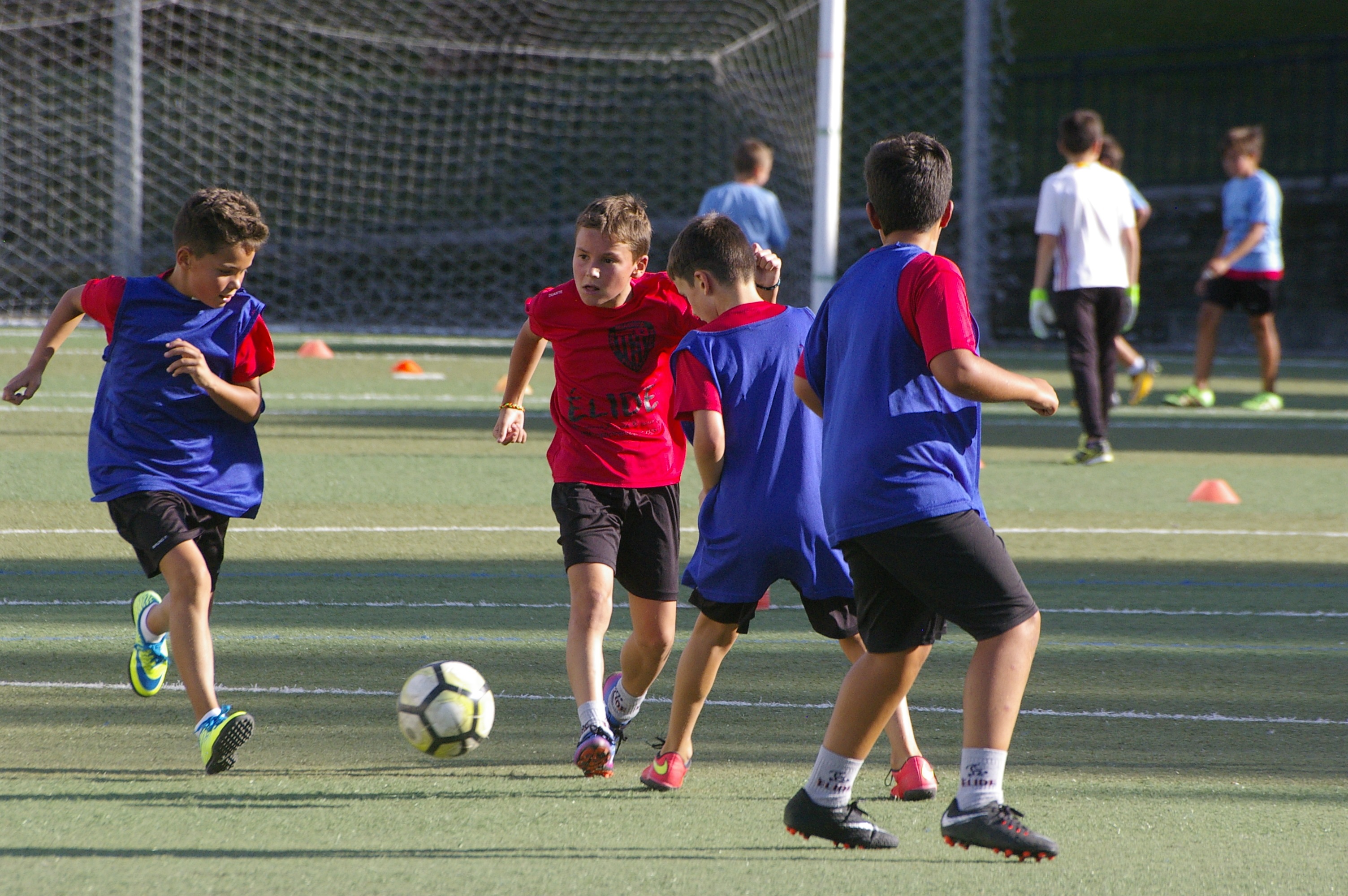 web12