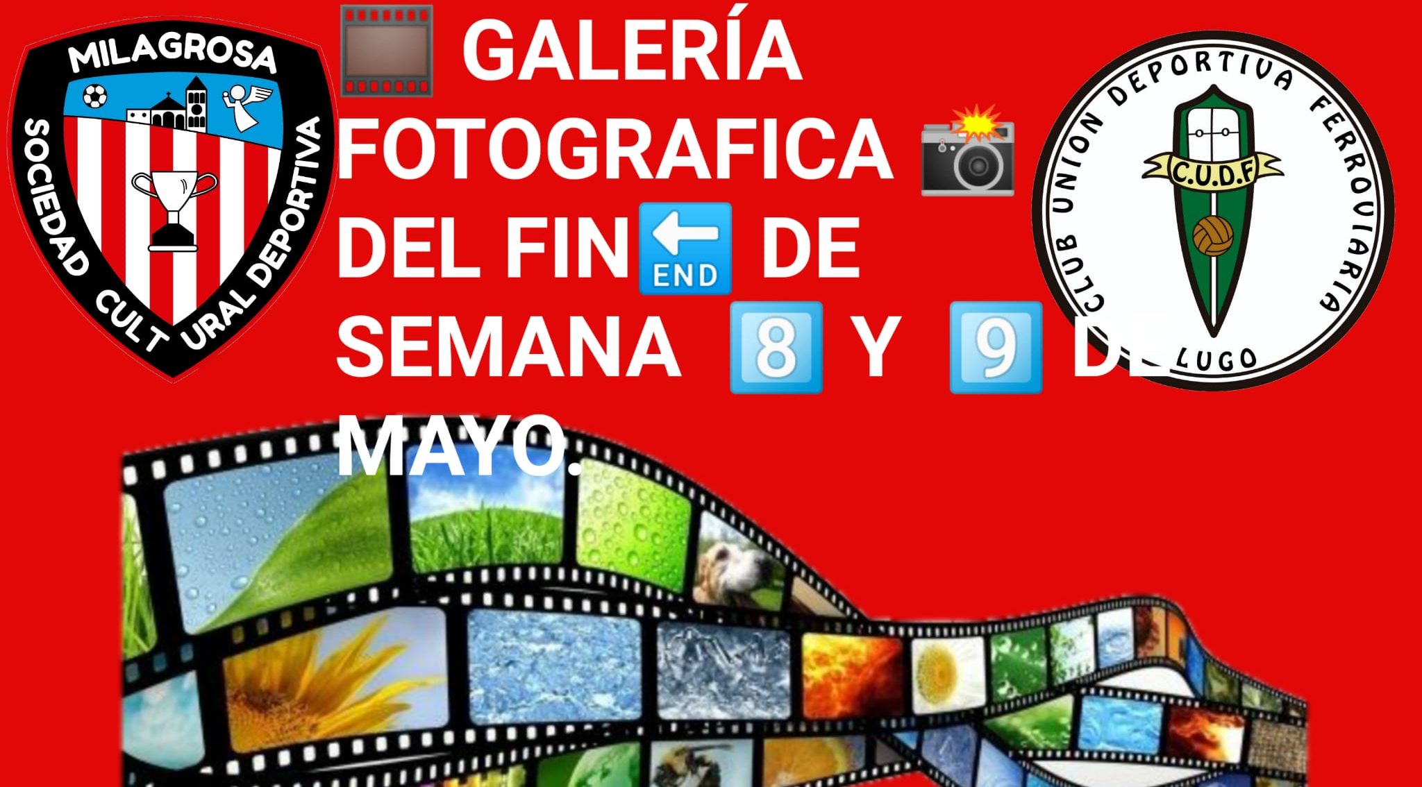 SEMANA 8-9